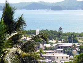 Gastronomie et plats typiques de la Mayotte 